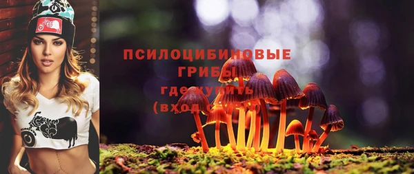 MDMA Premium VHQ Зерноград