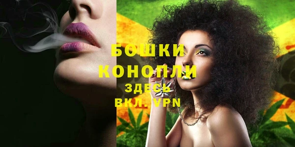 метадон Зеленодольск