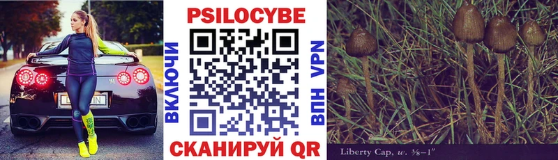 Псилоцибиновые грибы GOLDEN TEACHER  Кингисепп 