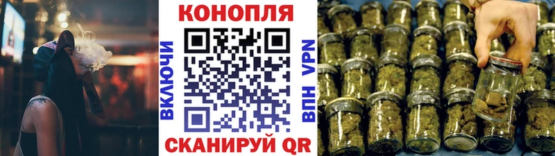 где купить наркотик  Кингисепп  Каннабис конопля 