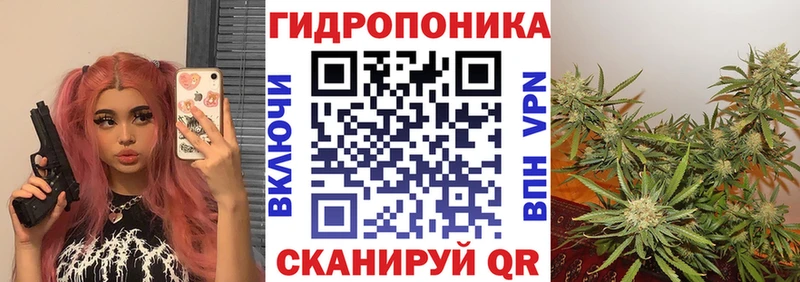 Марихуана планчик Кингисепп